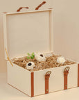 Reusable Leatherette Trunk