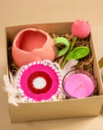 Tulip Freshness Hamper